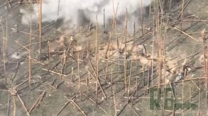 Битва за Донбасс.