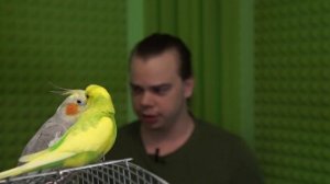 Отключили горячую воду? Пять советов, как мыться в холодной!