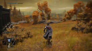 Elden Ring - маг с катаной