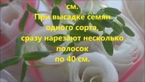 Рассада методом Керимова или посадка рассады по- московски.