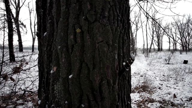 Солдатская печаль