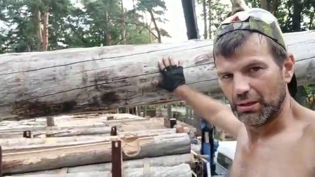 Монтаж срубов из KELO под Санкт Петербургом смотреть онлайн