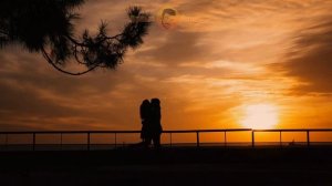 КАК МНОГО ТЕХ, С КЕМ МОЖНО ЛЕЧЬ В ПОСТЕЛЬ ❤️ Душевные Стихи о Любви До Слез, Поэзия - Эдуард Асадов