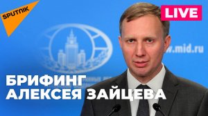 МИД России проводит брифинг для журналистов