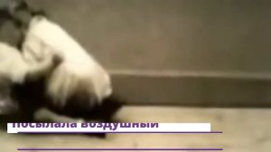 «ОЧЕЛОВЕЧИВАНИЕ ОБЕЗЬЯНЫ». Жуткий эксперимент УИНТРОПА КЕЛЛОГА