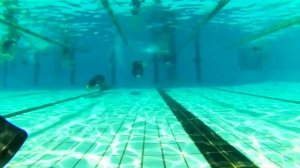 16/20 Плавание в моноласте. Техника плавания под водой в моноласте. Fin swimming techniques.