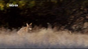 Национальный парк Йосемити (ч.4)