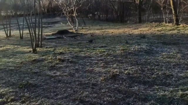 Три теплых дня на даче в феврале.Выравниваю участок с перепадом, для газона. смотреть онлайн