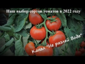 Что сажать в 2022 году_ Выбор сортов томатов!