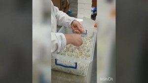 Как изготавливается продукция Essens. Завод Seluz, Турция.