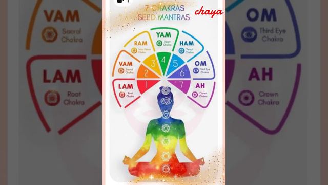 7 chakras in 1 minute...!🙏🏼🙏🏼