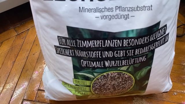 Будни цветовода | Немного пересадок в лечузу | 05.08.2022г. смотреть онлайн