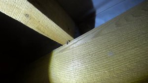 Экспресс осмотр строительства дома