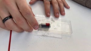 Эксперименты по физике | Точка Роста |