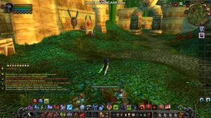 Зул'гуруб соло. Упал зульский тигр. WOW 335