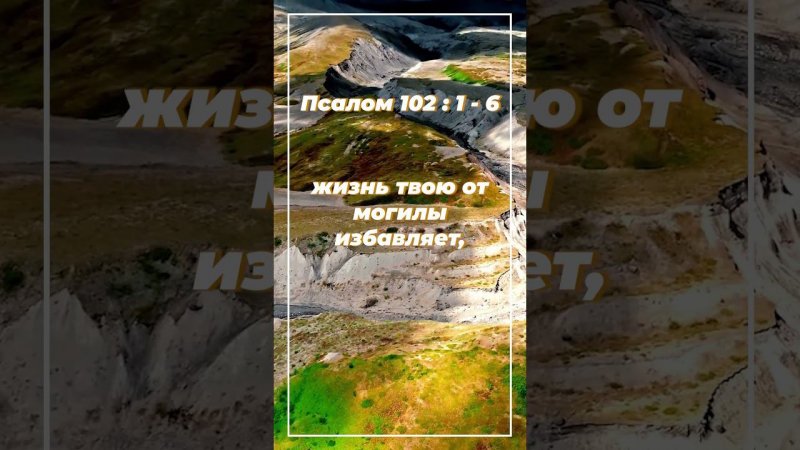 Псалом 102: 1-6 ИПБ им. Кулакова  #sda_voskhozhdenie_shorts