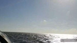Поход на моторной лодке в дельту Волги к Каспийскому морю
