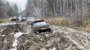 Таёжная экспедиция. Лесовозные дороги