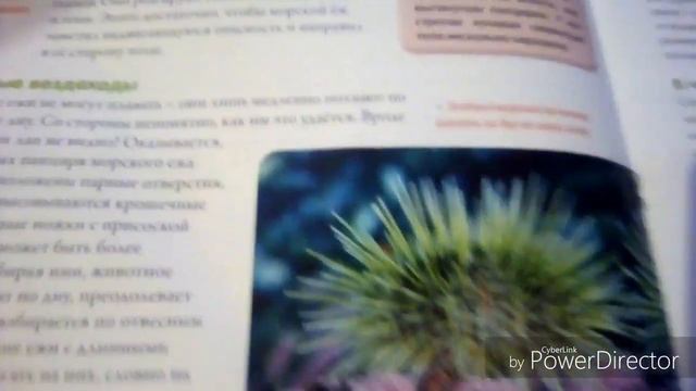 Моя страна собери карту России 40 выпуск смотреть онлайн