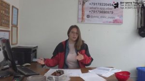 Инструктор Дружкова Юлия. Кормление собак натуральным кормом. Тольятти, 18 сентября 2021.