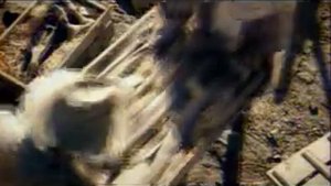 Реклама Hyundai Getz 2003 год