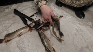 Подводная рыбалка (охота). Оборудование для подводной охоты
