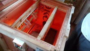 Инкубатор для вывода пчёл.wmv