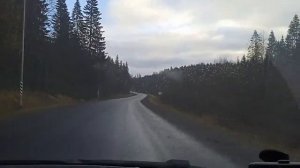 в Сортавалу из Санкт-Петербурга