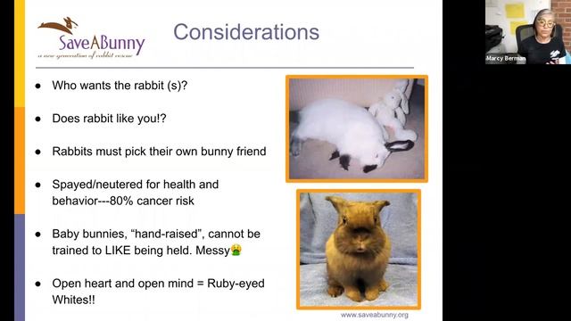 Bunny Basics: Selecting the Right Rabbit and Basic Care - Marcy Berman