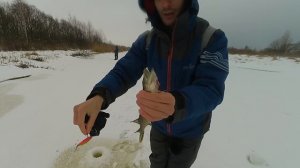 Приманка ВИБ для щуки. Игра под водой. Рыбалка на щуку на Вибы. Сало на костре.