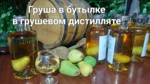 Груша в бутылке в грушевом дистилляте