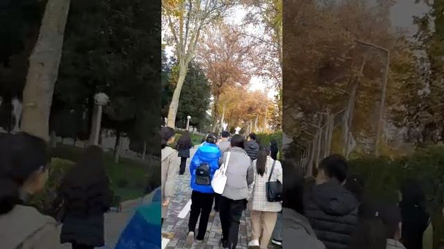 Самостоятельная работа моих студентов смотреть онлайн