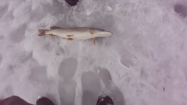 Улётненькая Рыбалочка на Алтае смотреть онлайн