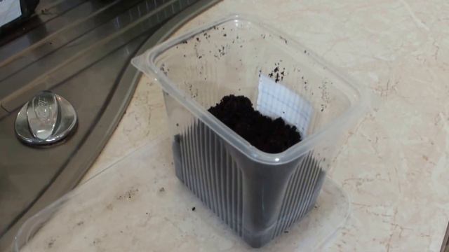 РАССАДА 2017, часть 09, 22.03.2017, ПИКИРУЕМ ПОМИДОРЫ смотреть онлайн