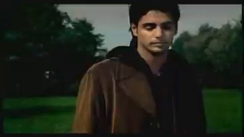 КОРНИ Плакала берёза