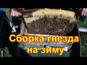 Сборка гнезда на зиму