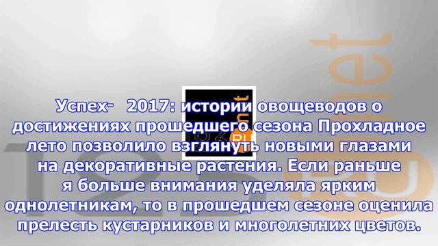 Хорошее было лето! почему прошедший сезон можно считать продуктивным смотреть онлайн
