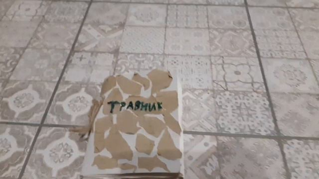 Как создать травник своими руками?/Moon kris/♡~♡ смотреть онлайн