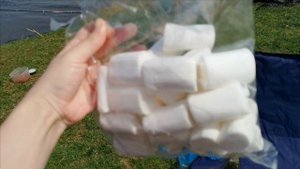 Поездка на природу, рыбачили, жарили первый раз маршмеллоу "Зефирюшки"