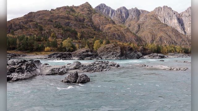 Река Катунь осенью. Горный Алтай. The Katun river in autumn. Mountain Altai. смотреть онлайн