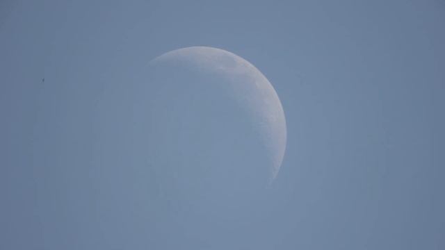 Полумесяц Луны дневной в телескоп Sky-Watcher SK 1021EQ3-2 (23.06.23) смотреть онлайн