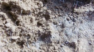 Коп в Астраханской обл. часть 2