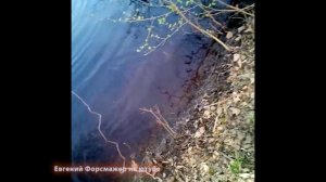 Тест, лодка ПВХ мини.