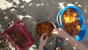 Так я использую падалицу абрикоса