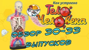 Как устроено тело человека. DeAgostini | 30-33 выпуски
