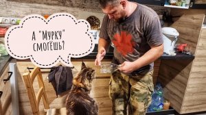 Артём извлекает звуки из посуды. Кошка Морошка впечатлена. Осторожно с громкостью