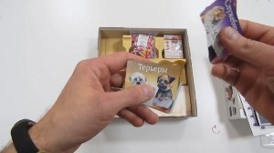 Прогулки с собаками (Распаковка игры)