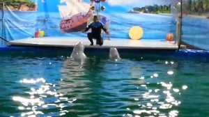 Белые киты поют