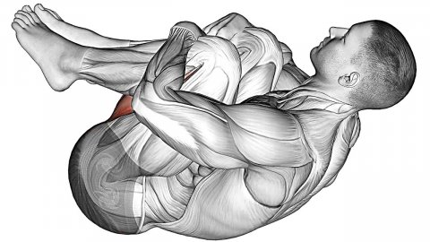 8 Упражнений для Улучшения Вашей Гибкости