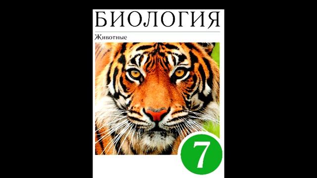 § 20 Тип Хордовые смотреть онлайн